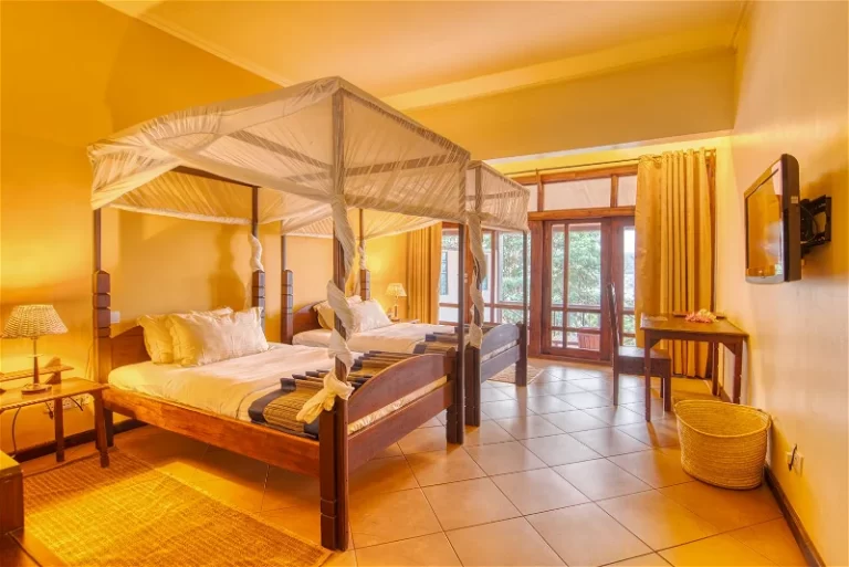 kigoma_hilltop_hotel_twin_room_3a79c4a1