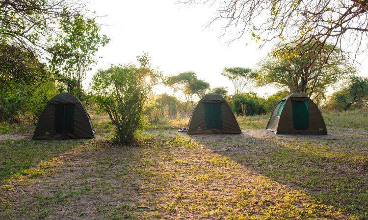 1920x1280-Tarangire-NP-public-campsite-9-1920x1080