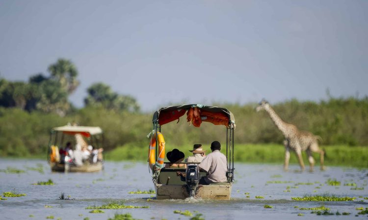 Boat-Safari-in-Nyerere-National-