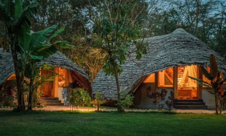 Jungle-Pearl-Resort-in-Nyerere-National-Park-Easy-Travel-Tanzania-scaled-1
