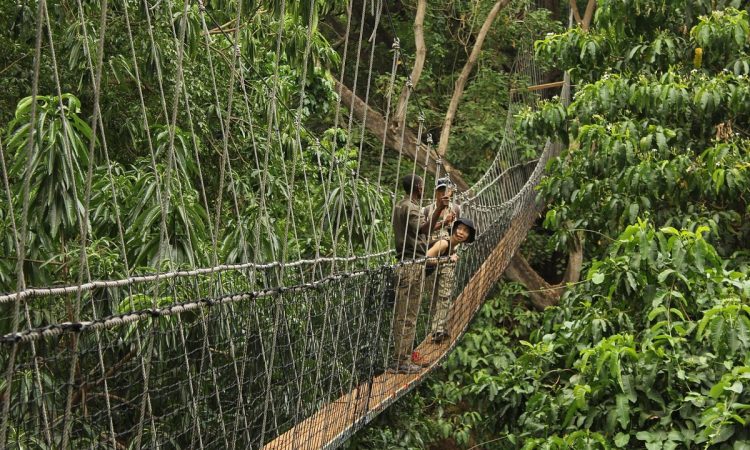 Lake Manyara Treetop Walkway1