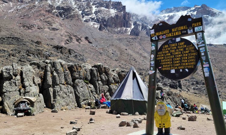 MOIR CAMP- MOUNT KILIMANJARO