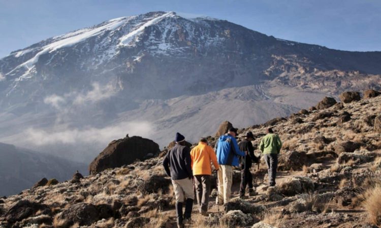 Mount-Kilimanjaro-Climbing-Tours