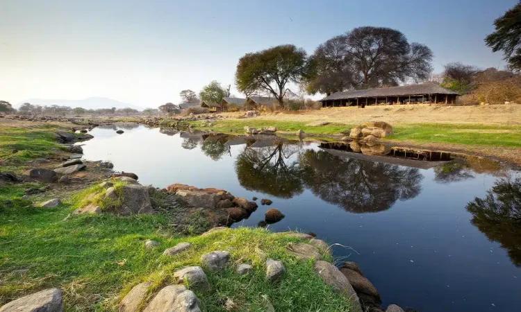 Ruaha-River-Lodge-Tanzania.jpg