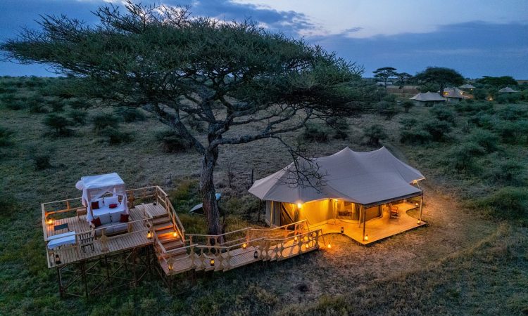 Safari-Haven-Serengeti-Camp-1
