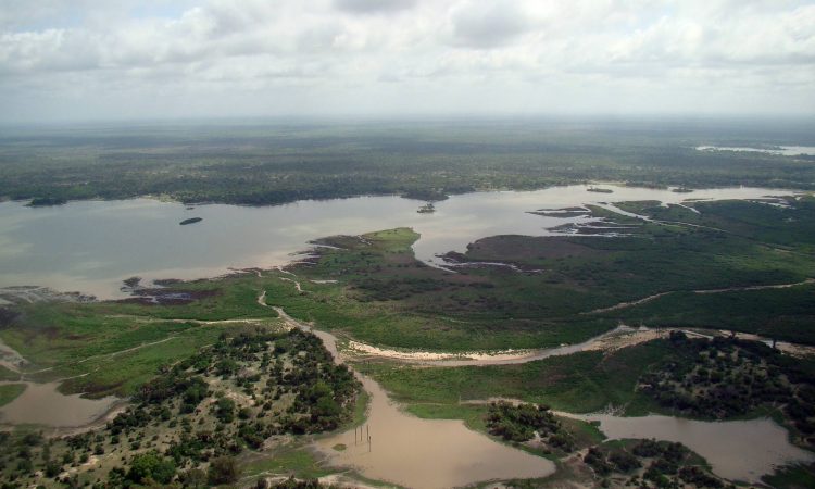 Selous_Game_Reserve_Aeroview