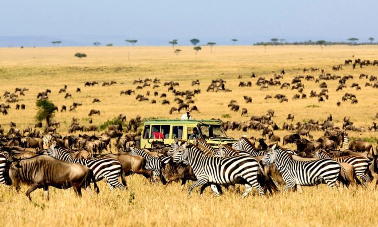 Serengeti-National-Park-Endless Plains With Vast Wildlife