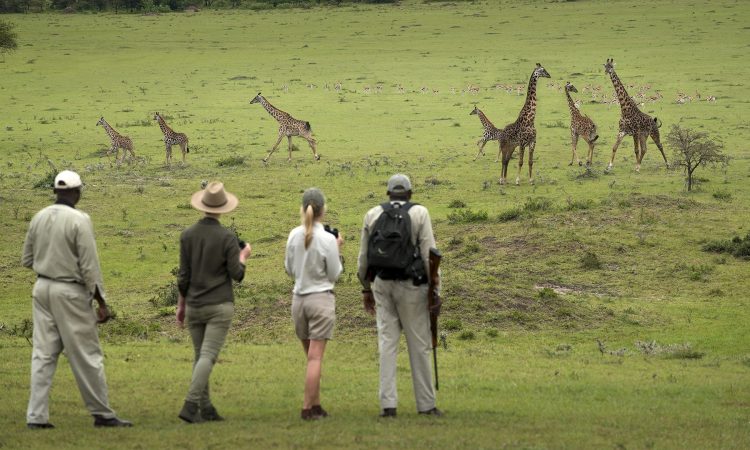 Walking-safari-Arusha-National-Park