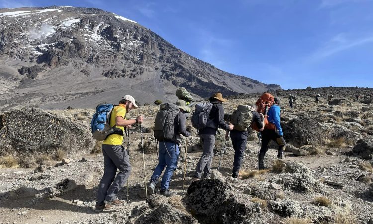 kilimanjaro Hiking-tanzania